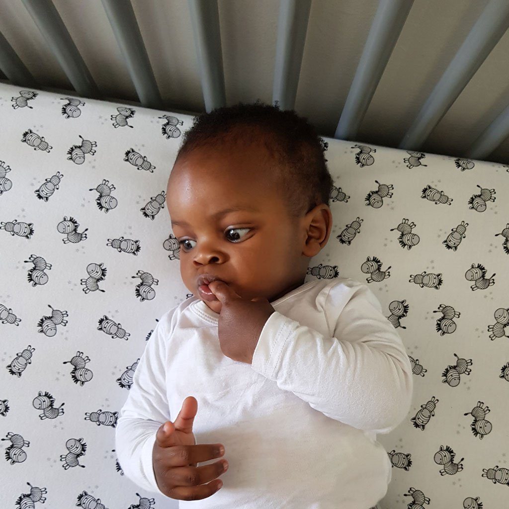 little acorn Zebra Cot Fitted Sheet The Happy Brand
